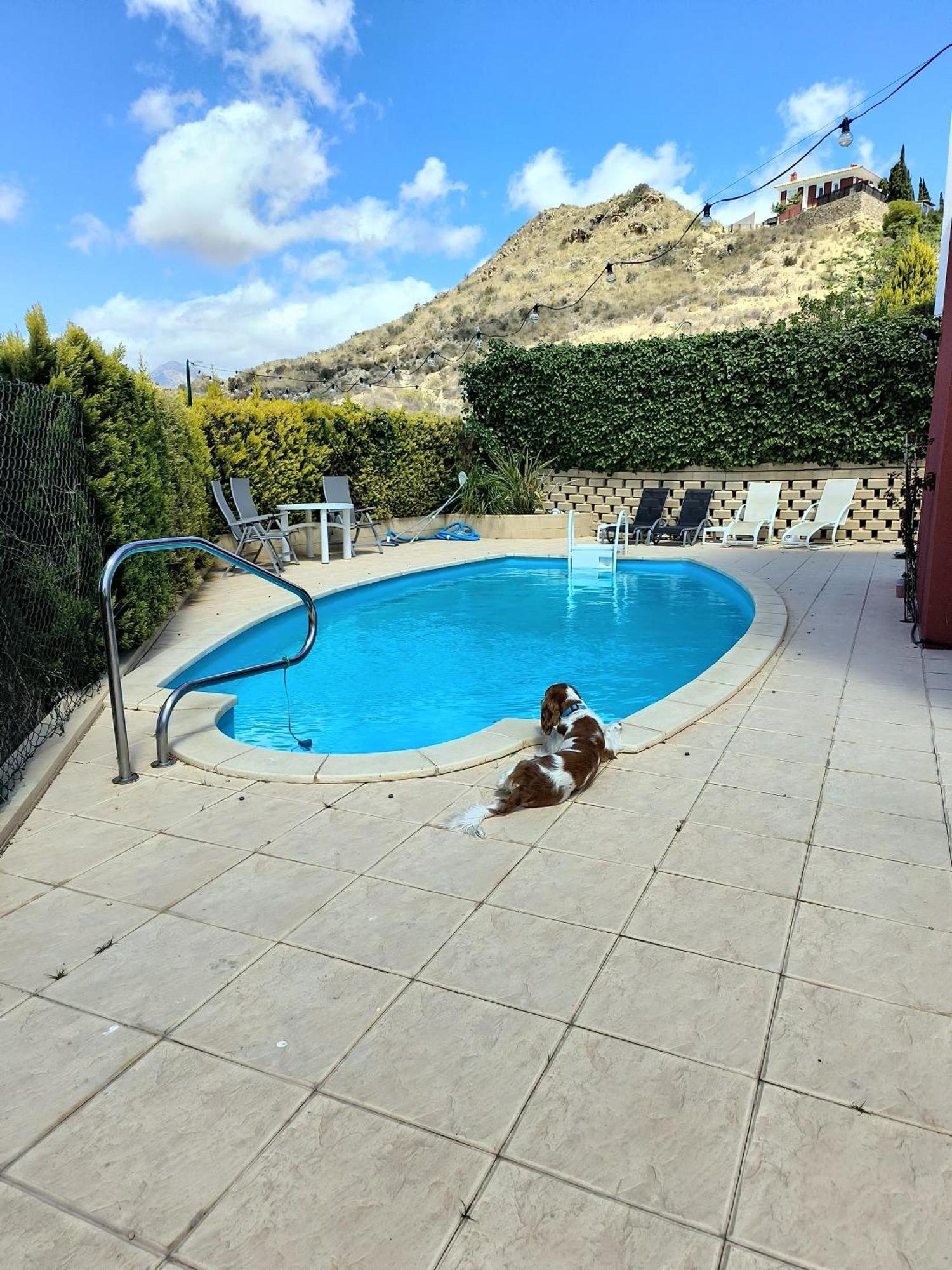 Villa Alicante - Bonalba Golf Mutxamel Kültér fotó